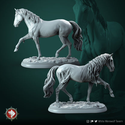 Ghost Horse | Castle Of Blood | Resin 3D Printed Miniature | White Werewolf Tavern | RPG | D&D | DnD