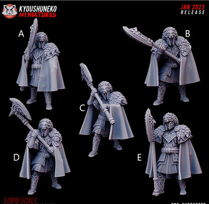 High Elf White Lions | Resin 3D Printed Miniatures | Kyoushuneko | Table Top Gaming | RPG | D&D | Pathfinder