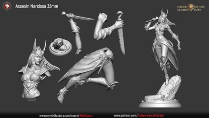 Assasin Narcissa | Order Of The Golden Fury | Multiple Scales | Resin 3D Printed Miniature | White Werewolf Tavern | RPG | D&D | DnD