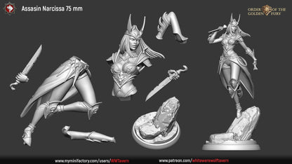 Assasin Narcissa | Order Of The Golden Fury | Multiple Scales | Resin 3D Printed Miniature | White Werewolf Tavern | RPG | D&D | DnD