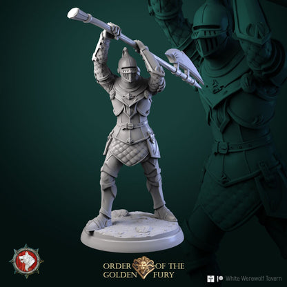 Knights | Order Of The Golden Fury | Resin 3D Printed Miniature | White Werewolf Tavern | RPG | D&D | DnD