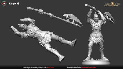 Knights | Order Of The Golden Fury | Resin 3D Printed Miniature | White Werewolf Tavern | RPG | D&D | DnD