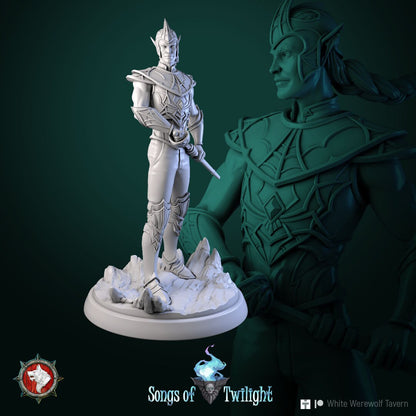 Drow Warriors Set | Songs Of Twilight | Resin 3D Printed Miniature | White Werewolf Tavern | RPG | D&D | DnD