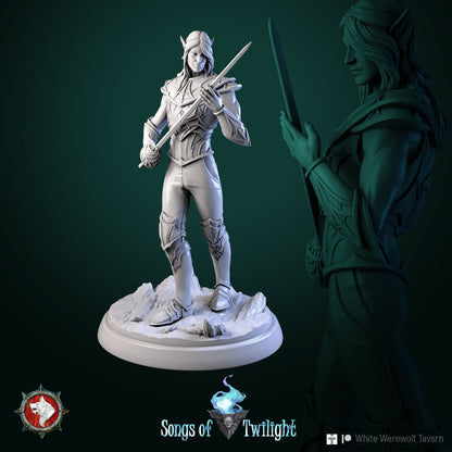 Drow Warriors Set | Songs Of Twilight | Resin 3D Printed Miniature | White Werewolf Tavern | RPG | D&D | DnD