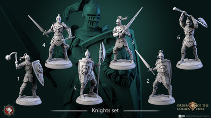 Knights | Order Of The Golden Fury | Resin 3D Printed Miniature | White Werewolf Tavern | RPG | D&D | DnD