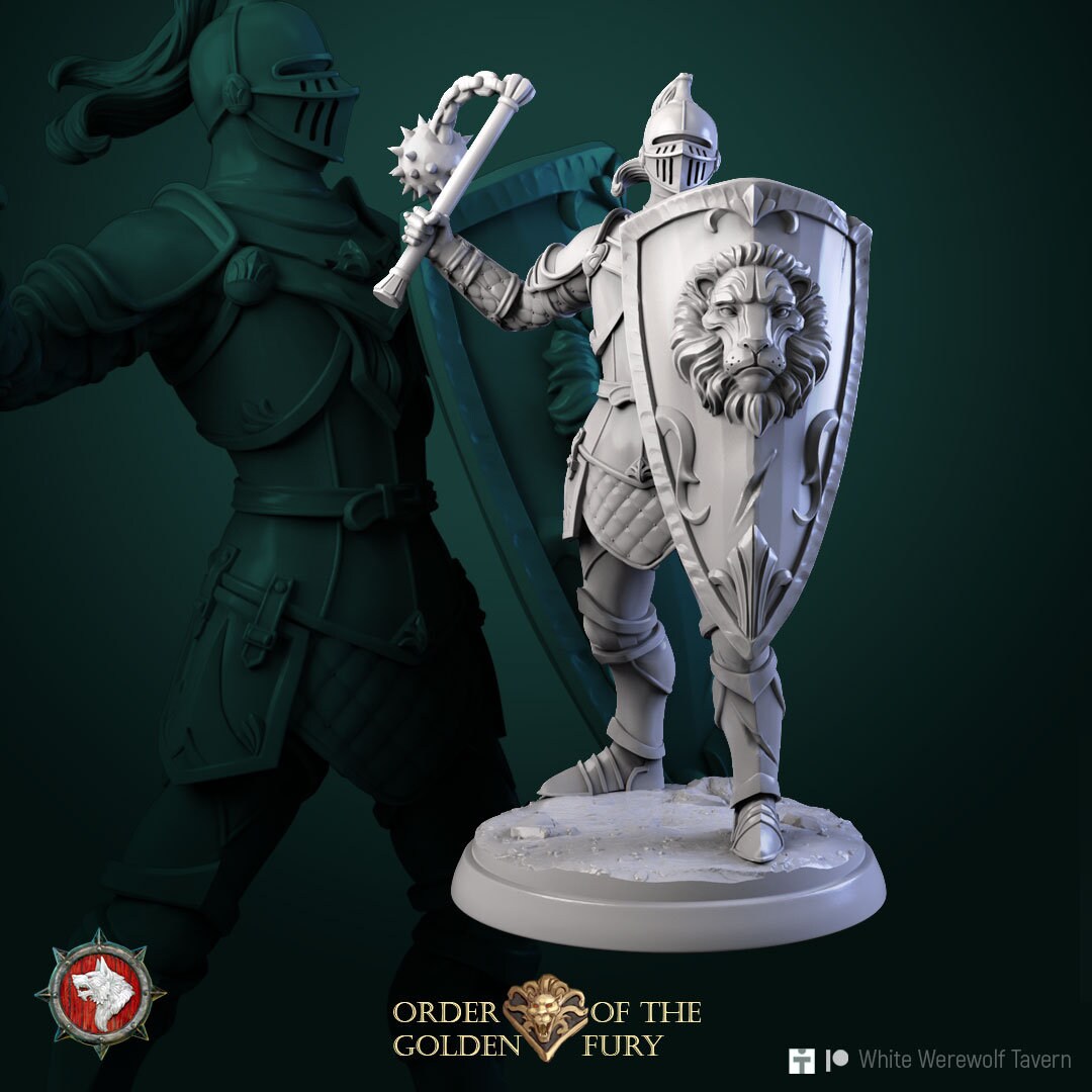 Knights | Order Of The Golden Fury | Resin 3D Printed Miniature | White Werewolf Tavern | RPG | D&D | DnD