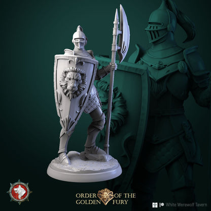 Knights | Order Of The Golden Fury | Resin 3D Printed Miniature | White Werewolf Tavern | RPG | D&D | DnD