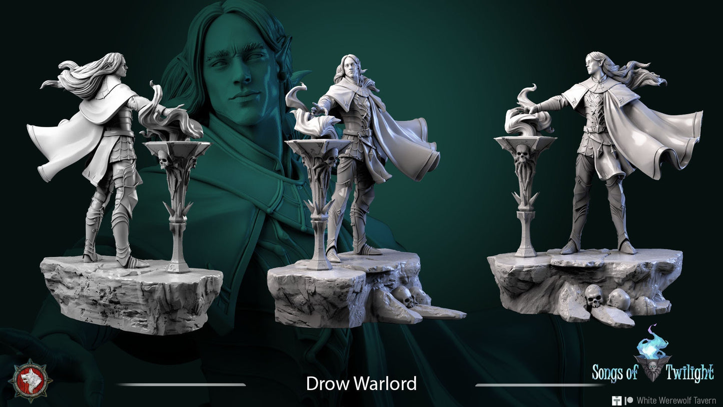Drow Warlord | Songs Of Twilight  | Multiple Scales | Resin 3D Printed Miniature | White Werewolf Tavern | RPG | D&D | DnD