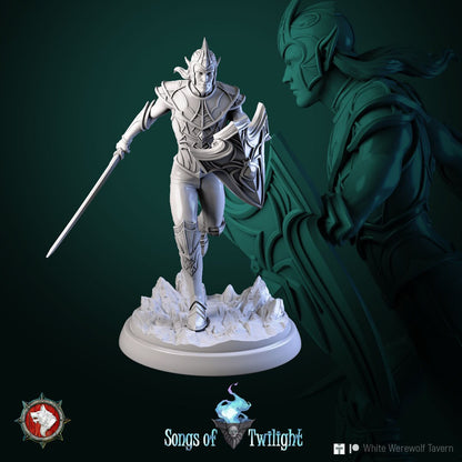 Drow Warriors Set | Songs Of Twilight | Resin 3D Printed Miniature | White Werewolf Tavern | RPG | D&D | DnD