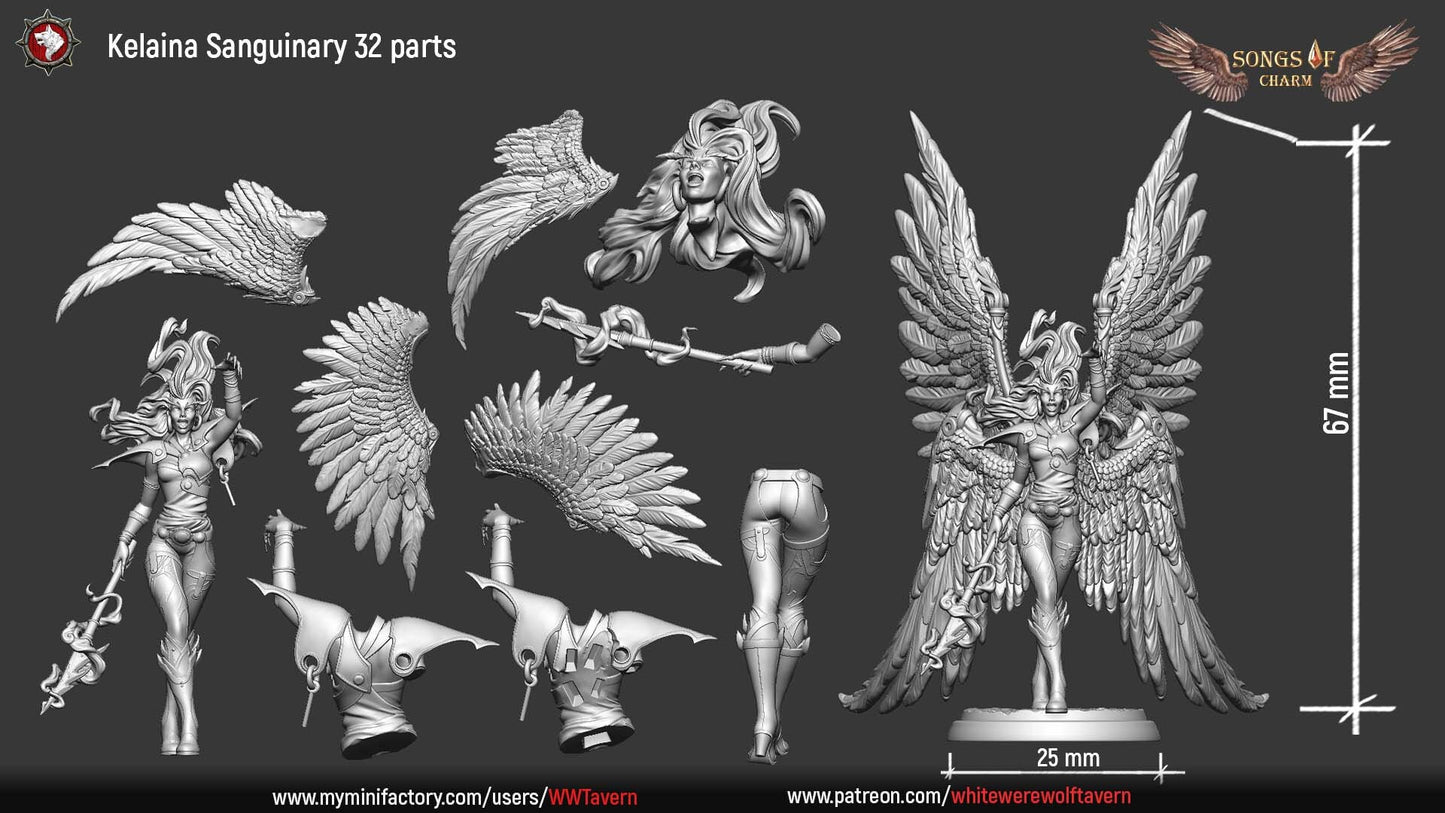 Kelaina Sanguinary | Multiple Scales | Resin 3D Printed Miniature | White Werewolf Tavern | RPG | D&D | DnD