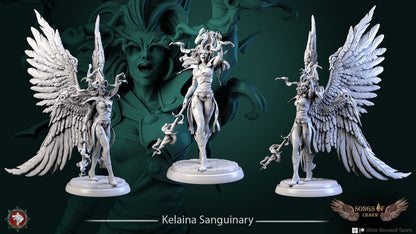 Kelaina Sanguinary | Multiple Scales | Resin 3D Printed Miniature | White Werewolf Tavern | RPG | D&D | DnD