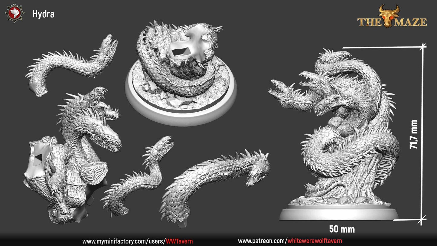 Hydra Monster | The Maze | Resin 3D Printed Miniature | White Werewolf Tavern