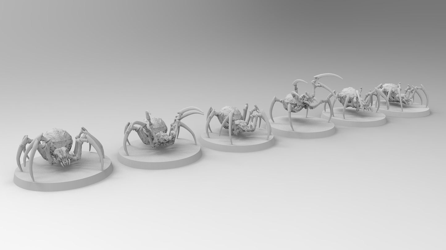 Giant Spider Mounts | No Saddles | Resin 3D Printed Miniatures | EmanG | Table Top Gaming | RPG | D&D | Pathfinder