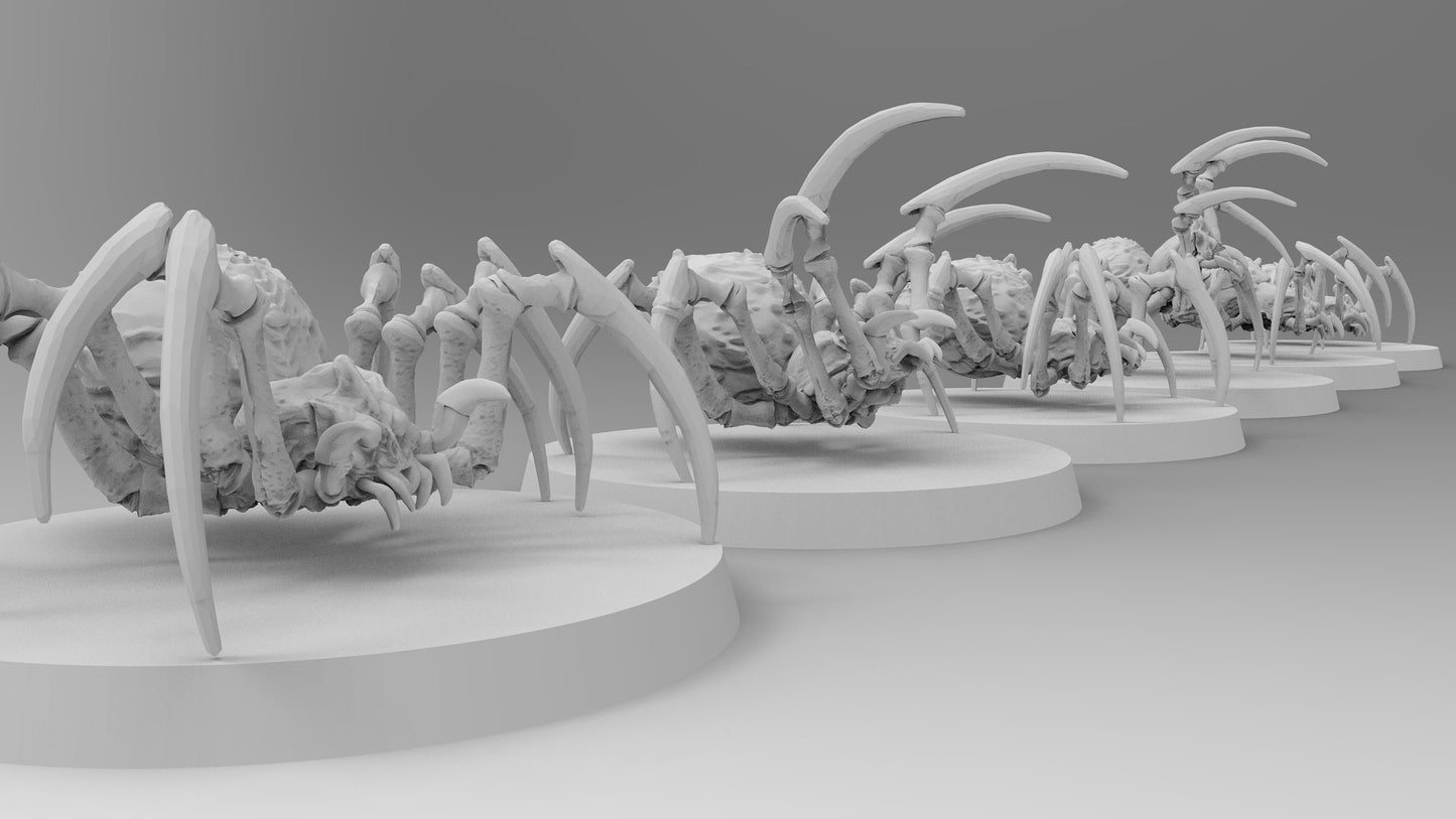 Giant Spider Mounts | No Saddles | Resin 3D Printed Miniatures | EmanG | Table Top Gaming | RPG | D&D | Pathfinder