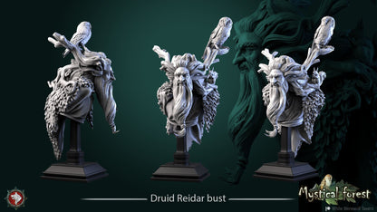 Druid Reidar | Bust | Resin 3D Printed Miniature | White Werewolf Tavern