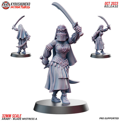 Araby Blade Mistresses - Three Poses | Resin 3D Printed Miniatures | Kyoushuneko | Table Top Gaming | RPG | D&D | Pathfinder