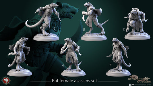 Rat Female Asassins Set | Guts And Gutters | Resin 3D Printed Miniature | White Werewolf Tavern | RPG | D&D | DnD
