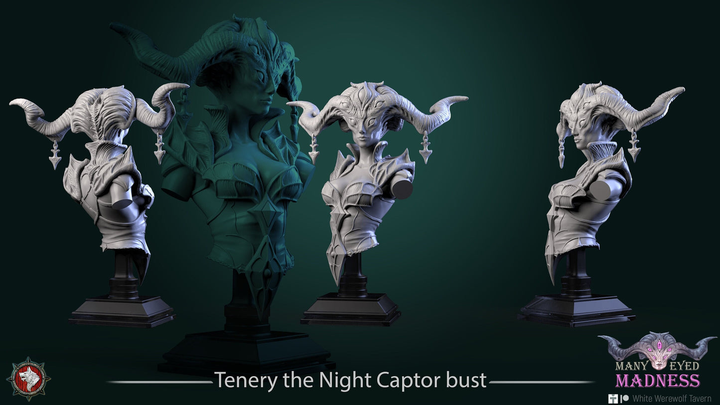 Tenery The Night Captor | Many Eyed Madness | Bust | Resin 3D Printed Miniature | White Werewolf Tavern