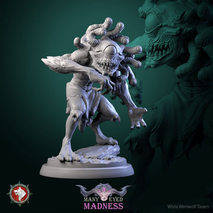 Morhpeyes Set | Many Eyed Madness | Resin 3D Printed Miniature | White Werewolf Tavern | RPG | D&D | DnD