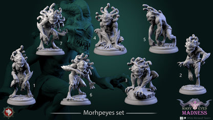 Morhpeyes Set | Many Eyed Madness | Resin 3D Printed Miniature | White Werewolf Tavern | RPG | D&D | DnD