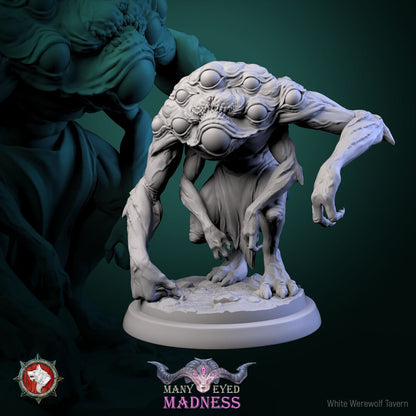 Many Eyed Monster Set | Many Eyed Madness | Resin 3D Printed Miniature | White Werewolf Tavern | RPG | D&D | DnD