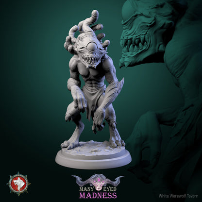 Morhpeyes Set | Many Eyed Madness | Resin 3D Printed Miniature | White Werewolf Tavern | RPG | D&D | DnD