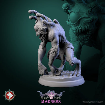 Morhpeyes Set | Many Eyed Madness | Resin 3D Printed Miniature | White Werewolf Tavern | RPG | D&D | DnD