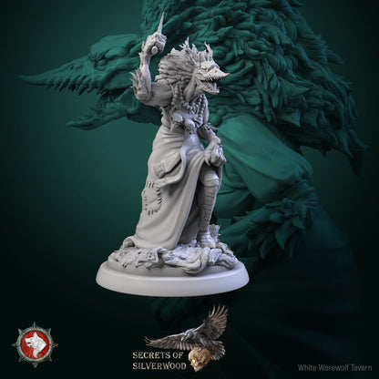 Kikimora Set | Six Poses | Secrets of Silverwood | Resin 3D Printed Miniature | White Werewolf Tavern | RPG | D&D | DnD
