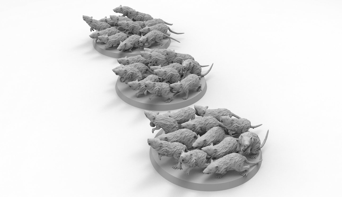 Swarms of Rats | Many Poses | The Bad Ratz | Resin 3D Printed | EmanG | Table Top Gaming