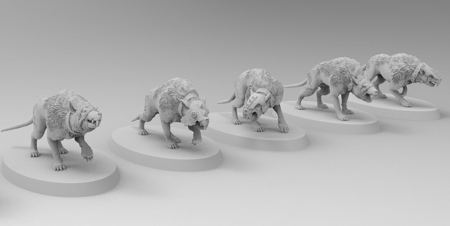 Wolf Rodents | Ratmen Resin 3D Printed Miniature | Warhammer Proxy | RPG | D&D | DnD| EmanG |