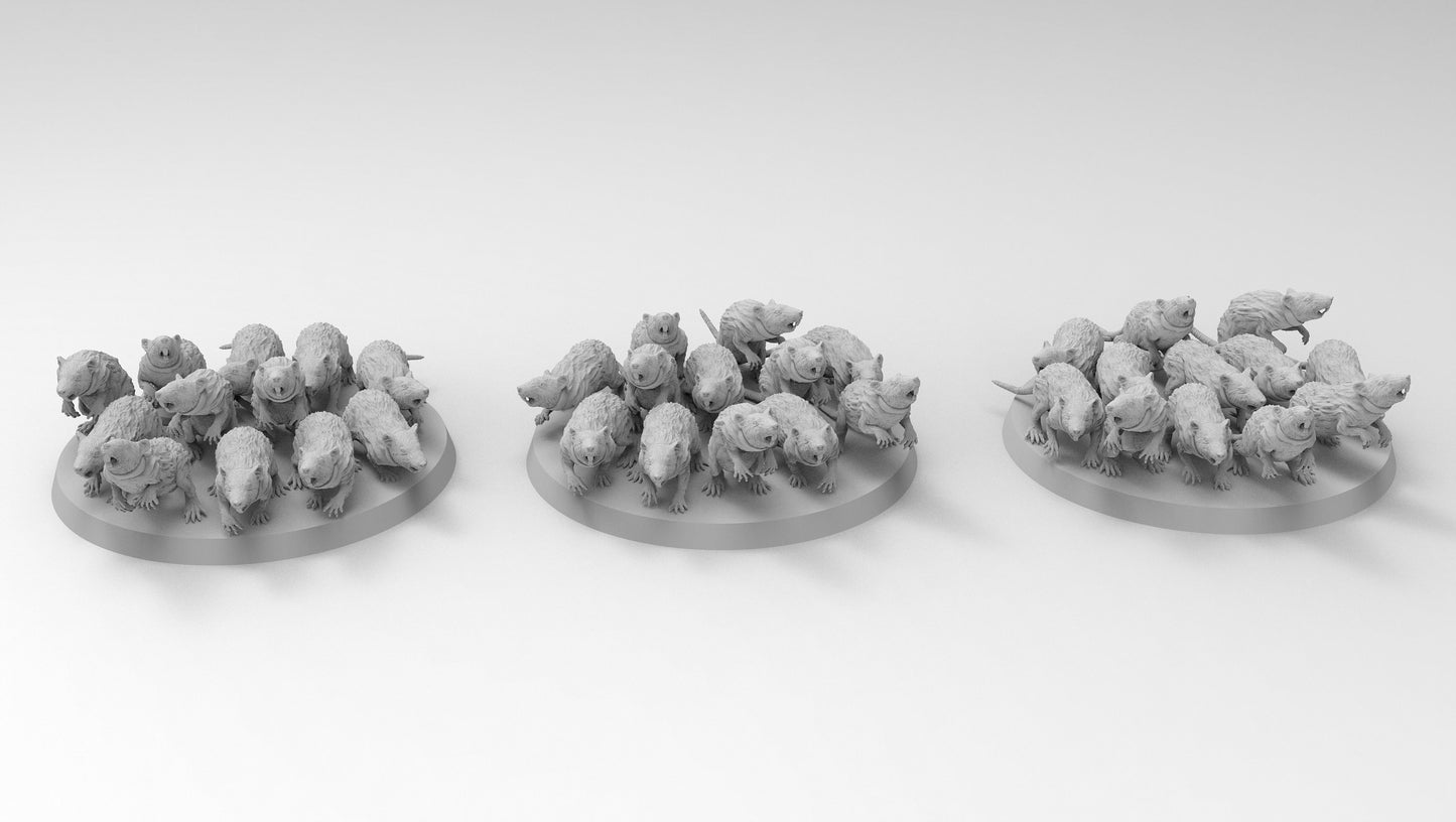 Swarms of Rats | Many Poses | The Bad Ratz | Resin 3D Printed | EmanG | Table Top Gaming