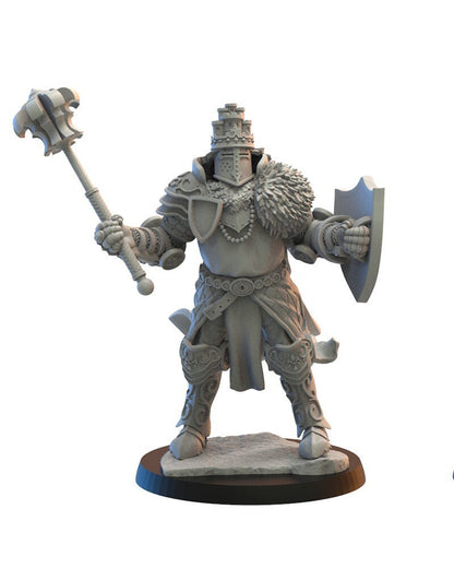 Sir Bors on Foot | Kingdom of Mercia | Lost Kingdom Miniatures | Kyoushuneko | Table Top Gaming | RPG | D&D | Pathfinder