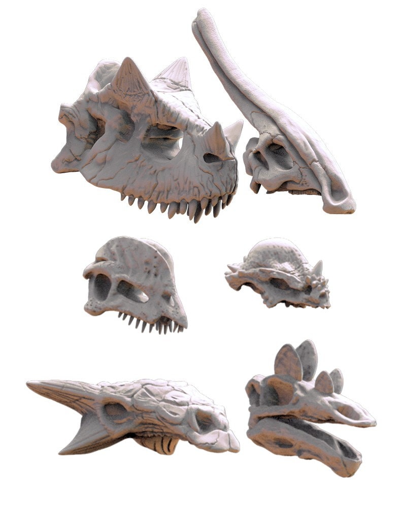 Dinosaur Skulls Kit | Unit Fillers and Terrain | Lost Kingdom Miniatures | Warhammer | RPG | DnD | Table Top Gaming | Buildings and Terrain